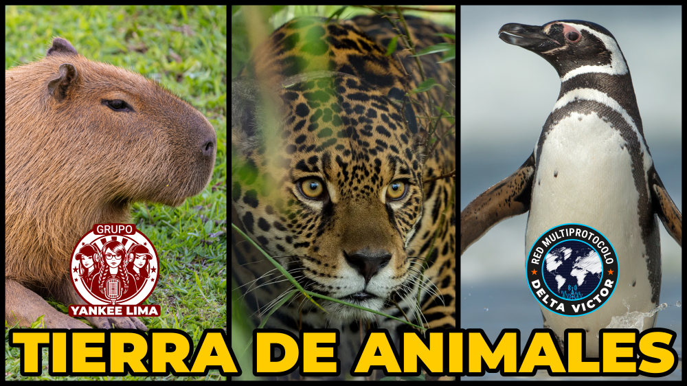 Tierra de Animales